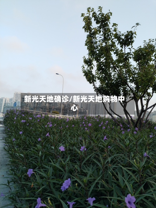 新光天地确诊/新光天地购物中心