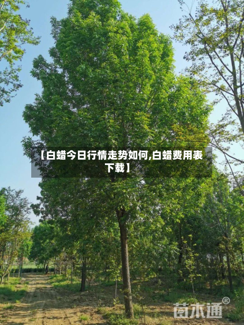 【白蜡今日行情走势如何,白蜡费用表下载】