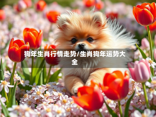 狗年生肖行情走势/生肖狗年运势大全