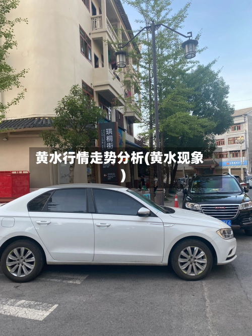 黄水行情走势分析(黄水现象)