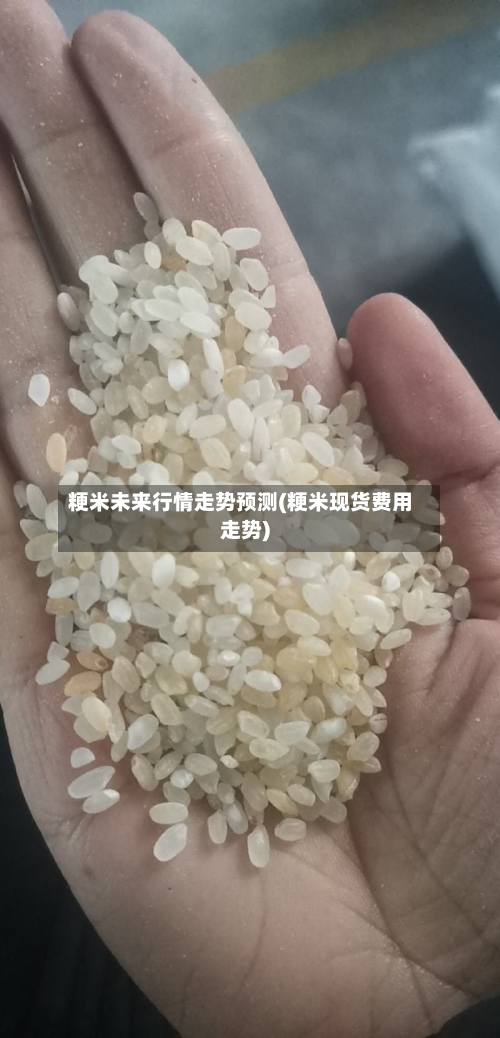 粳米未来行情走势预测(粳米现货费用走势)-第3张图片