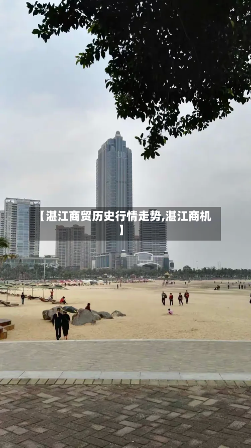 【湛江商贸历史行情走势,湛江商机】-第2张图片