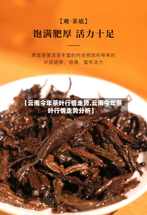 【云南今年茶叶行情走势,云南今年茶叶行情走势分析】