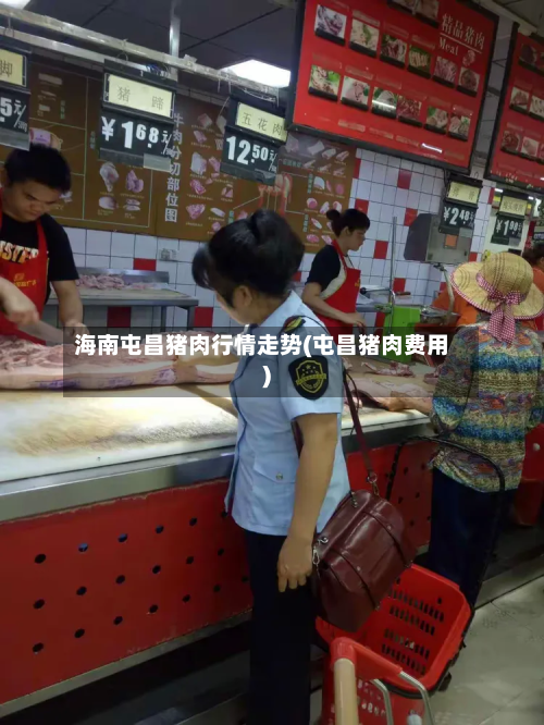 海南屯昌猪肉行情走势(屯昌猪肉费用)-第3张图片