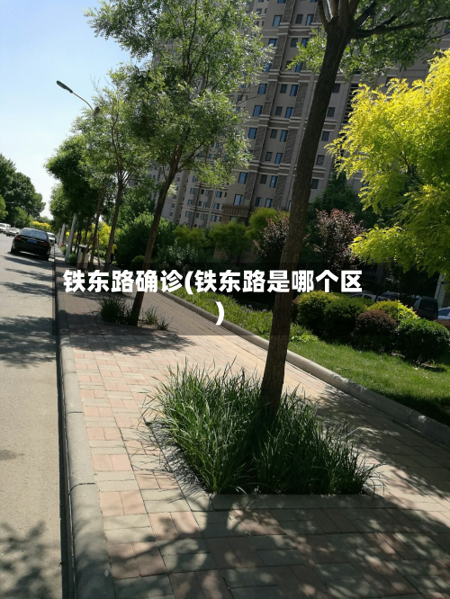铁东路确诊(铁东路是哪个区)-第3张图片