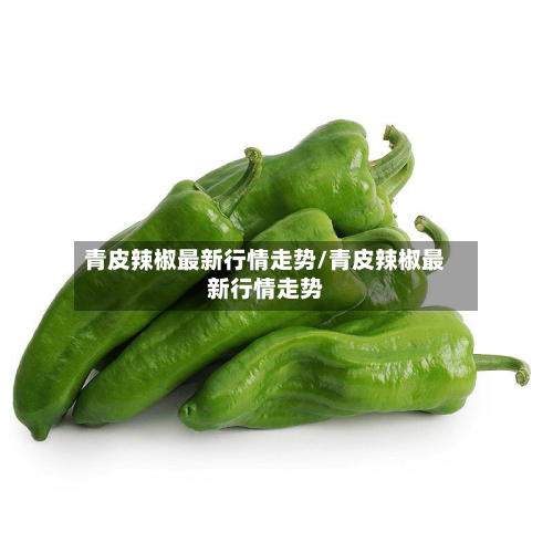 青皮辣椒最新行情走势/青皮辣椒最新行情走势-第3张图片