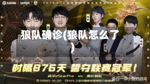 狼队确诊(狼队怎么了)-第3张图片