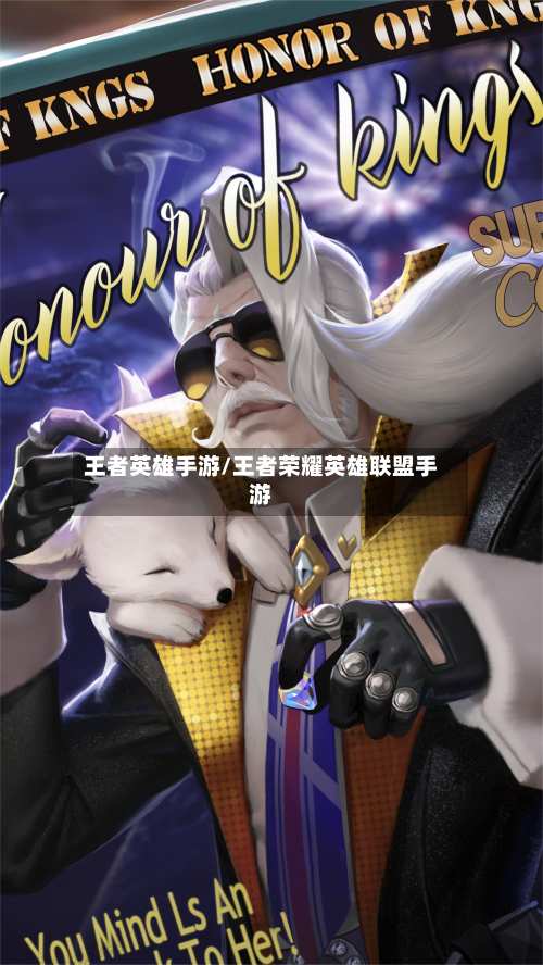 王者英雄手游/王者荣耀英雄联盟手游