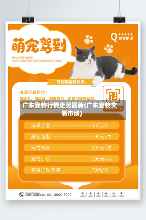 广东宠物行情走势最新(广东宠物交易市场)-第3张图片