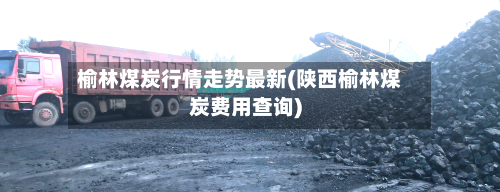 榆林煤炭行情走势最新(陕西榆林煤炭费用查询)