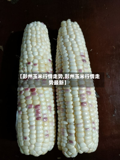 【彭州玉米行情走势,彭州玉米行情走势最新】