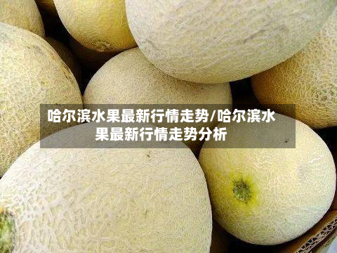 哈尔滨水果最新行情走势/哈尔滨水果最新行情走势分析