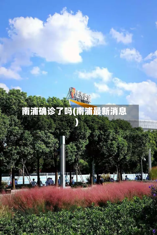 南浦确诊了吗(南浦最新消息)-第2张图片