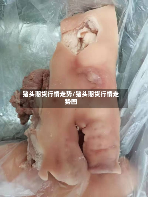 猪头期货行情走势/猪头期货行情走势图