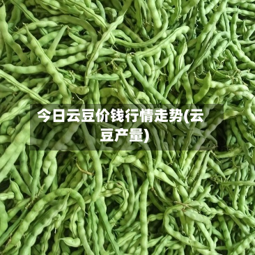 今日云豆价钱行情走势(云豆产量)-第2张图片
