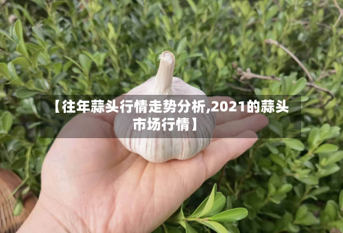 【往年蒜头行情走势分析,2021的蒜头市场行情】