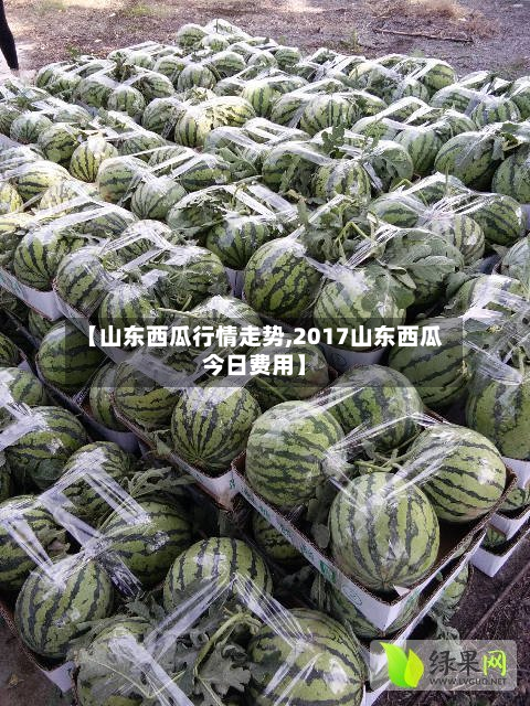 【山东西瓜行情走势,2017山东西瓜今日费用】