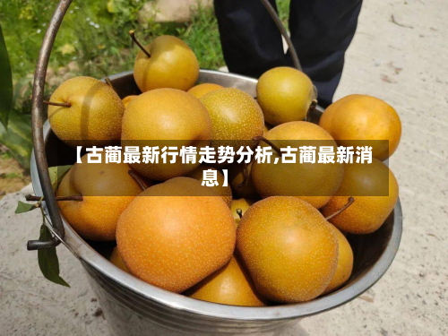 【古蔺最新行情走势分析,古蔺最新消息】