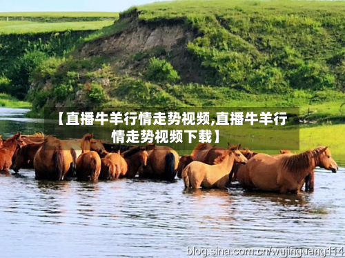 【直播牛羊行情走势视频,直播牛羊行情走势视频下载】-第2张图片
