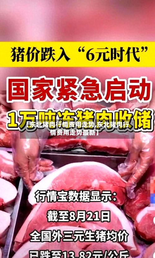 【东北猪肉行情费用走势,东北猪肉行情费用走势最新】