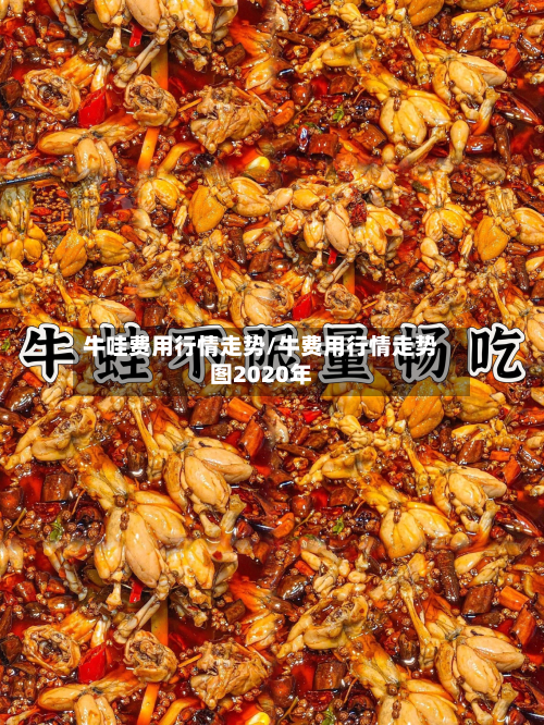 牛哇费用行情走势/牛费用行情走势图2020年-第3张图片
