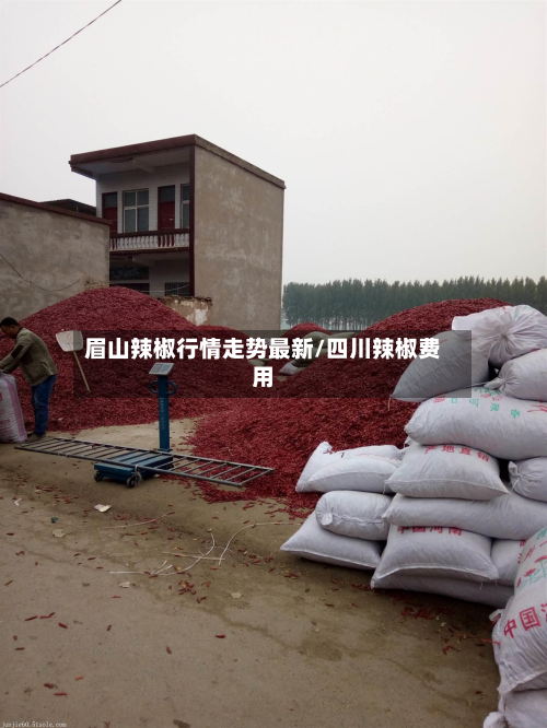 眉山辣椒行情走势最新/四川辣椒费用