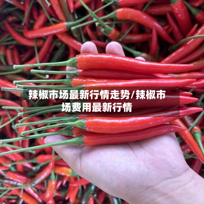辣椒市场最新行情走势/辣椒市场费用最新行情