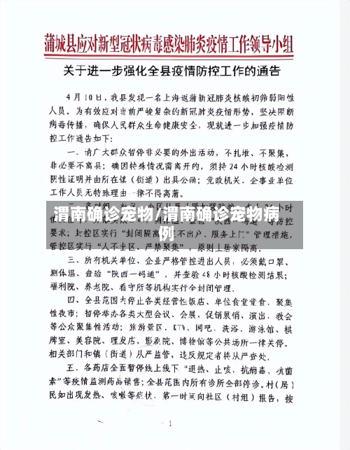 渭南确诊宠物/渭南确诊宠物病例