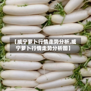 【威宁萝卜行情走势分析,威宁萝卜行情走势分析图】-第2张图片