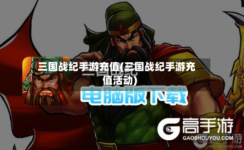 三国战纪手游充值(三国战纪手游充值活动)