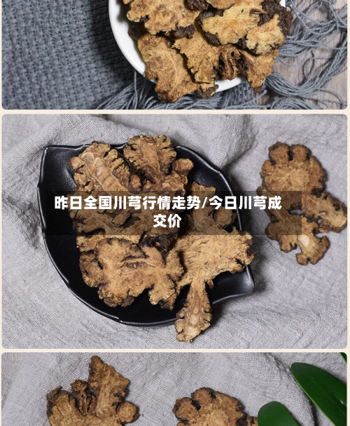 昨日全国川芎行情走势/今日川芎成交价-第2张图片