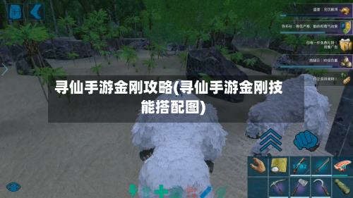 寻仙手游金刚攻略(寻仙手游金刚技能搭配图)-第2张图片