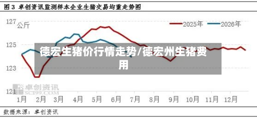 德宏生猪价行情走势/德宏州生猪费用-第3张图片