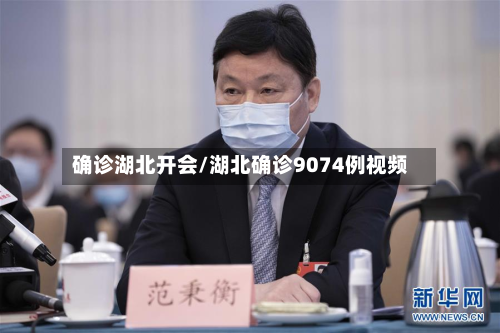 确诊湖北开会/湖北确诊9074例视频