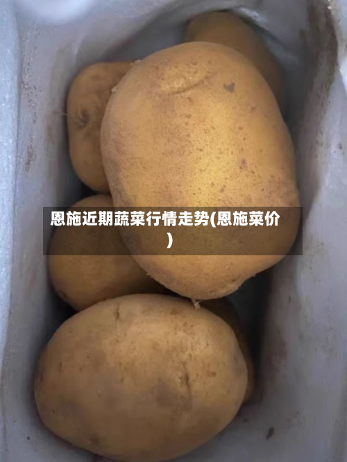 恩施近期蔬菜行情走势(恩施菜价)-第3张图片