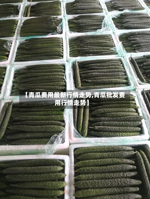 【青瓜费用最新行情走势,青瓜批发费用行情走势】