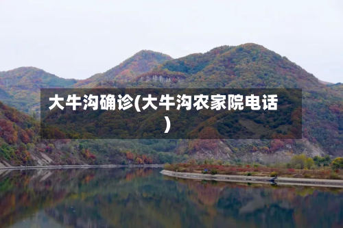 大牛沟确诊(大牛沟农家院电话)
