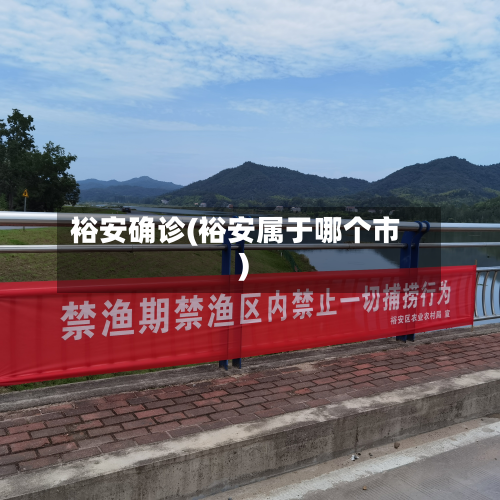 裕安确诊(裕安属于哪个市)