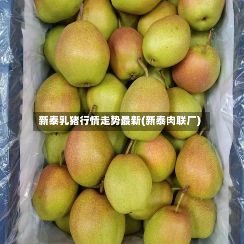新泰乳猪行情走势最新(新泰肉联厂)-第2张图片